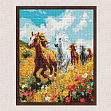 Алмазна мозаїка/вишивка Коні у полі 40*50 см Ідейка AMO 8017, фото 3