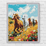 Алмазна мозаїка/вишивка Коні у полі 40*50 см Ідейка AMO 8017, фото 6