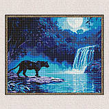 Алмазна мозаїка/вишивка Хижак вночі 40*50 см Ідейка AMO 8184, фото 5