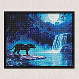 Алмазна мозаїка/вишивка Хижак вночі 40*50 см Ідейка AMO 8184, фото 4