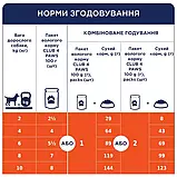 Клуб 4 лапи пауч з яловичиною у желе для собак дрібних 0,1 кг (Club 4 Paws Premium Small Breeds), фото 2