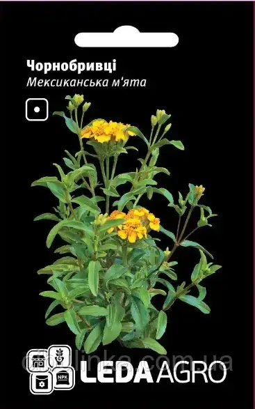 Чорнобривці Мексиканська м'ята Hem Zaden/Нідерланди 0,15 г, фото 1
