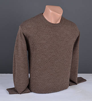 Чоловічий джемпер коричневий | Чоловічий светр Туреччина 9314