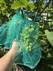 Сітка-мішок, захисна сітка для винограду 22х30, (2 кг)