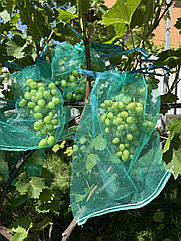 Захисні мішечки для грон винограду 31х50 (до 10 кг) Купити