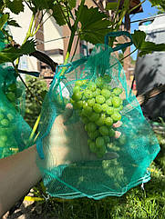 Захисні мішечки для грон винограду 28*40см, (5 кг) Купити