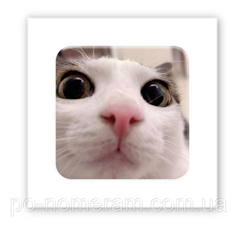 3D-стікер Я все бачу, фото 1