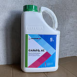 Фунгіцид Сальто (Топсин М) розлив 1л для пшениці соняшника сої цукрового буряка капусти винограду яблунь, фото 2