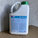 Фунгіцид Сальто (Топсин М) розлив 1л для пшениці соняшника сої цукрового буряка капусти винограду яблунь, фото 3