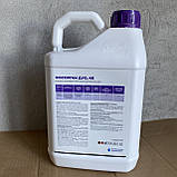 Інсектицид Фосорган ДУО розлив 1л для зернових, пшениці, ячменю, ріпаку, гороху, цукрових буряків, плодових дерев, фото 3