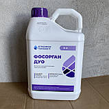 Інсектицид Фосорган ДУО розлив 1л для зернових, пшениці, ячменю, ріпаку, гороху, цукрових буряків, плодових дерев, фото 2