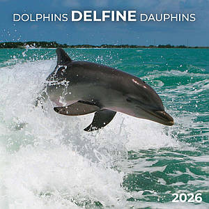 Настінний календар 2026 рік. Dolphins