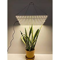 Фітосвітильник для рослин GrowBoard 150W (Samsung LM281B+) GB120V2, фото 3