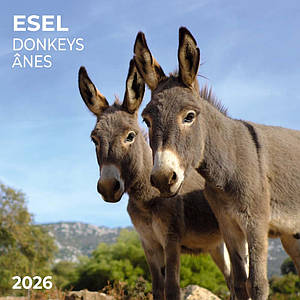 Настінний календар 2026 рік. Donkeys
