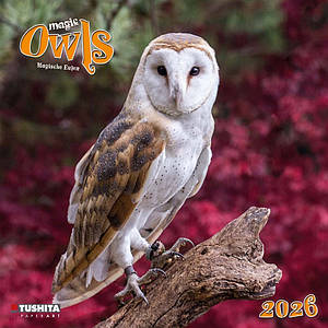 Настінний календар 2026 рік. Magic Owls