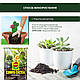 Торфосуміш для кактусів 5л COMPO CACTEA® - фото 7 - id-p2623401281