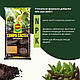 Торфосуміш для кактусів 5л COMPO CACTEA® - фото 2 - id-p2623401281