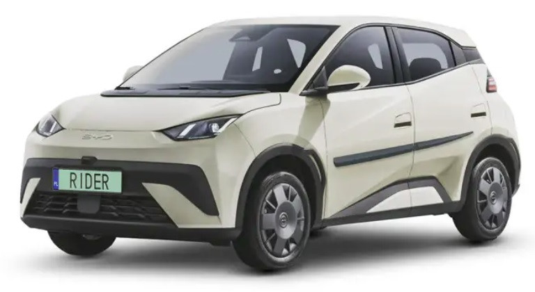 Молдинги на двері для BYD Dolphin Surf EU 2025+, фото 1