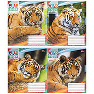 Зошит на 48 аркушів з кольоровою обкладинкою в клітинку "Мрії" "mix" Упаковка 16 шт., фото 9