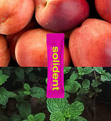 Ополіскувач для ротової порожнини Solident Peach mint / персик-м'ята 10 ml