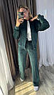 Велюровий спортивний жіночий костюм на молнії зі стрілками р.42-60 SPRING СМАРАГД 769, фото 6