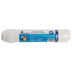 Постфільтр вугільний до системи Fil Tek (стрижень)