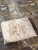 Міцелій Гливи зерновий К 17