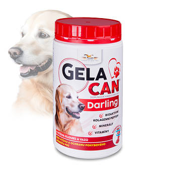 ORLING Гелакан Дарлінг (Gelacan Darling) 500г — найкраща добавка!