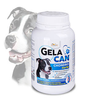 Хондрокан Форте (Chondrocan Forte) Гелакан Хондро Форте (Gelacan Chondro Forte) ХОНДРОПРОТЕКТОР ДЛЯ СОБАК 150г