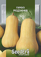 Гарбуз Родзинка 20 г SeedEra (мускатний)