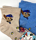 Шкарпетки дитячі стрейч 14 р. (12 пар!) (Демісезонні) Варос, фото 5