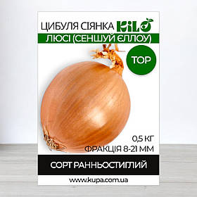 Цибуля сіянка Люсі (Сеншуй Єллоу) TOP, факція 8-21мм, 0,5кг