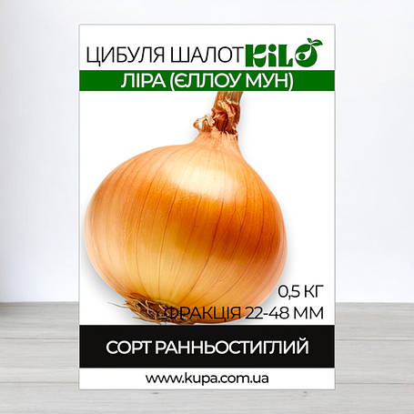 Цибуля сіянка