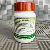 Шиладжит Расаян Ваті 120 таб. Для суглобів Дів'я Патанджалі / Shilajit rasayan. Індія. Термін до 07/2027, фото 2