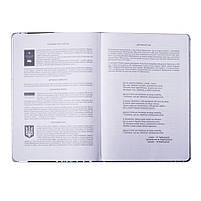 Щоденник шкільний ZiBi В5 48 аркушів тверда обкладинка зі штучної шкіри з поролоном Pink (ZB.13204-10), фото 3