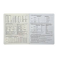 Зошит ZiBi предметний CUTE CAT, 36 аркушів, клітинка, англійська (ZB.1731-38), фото 3