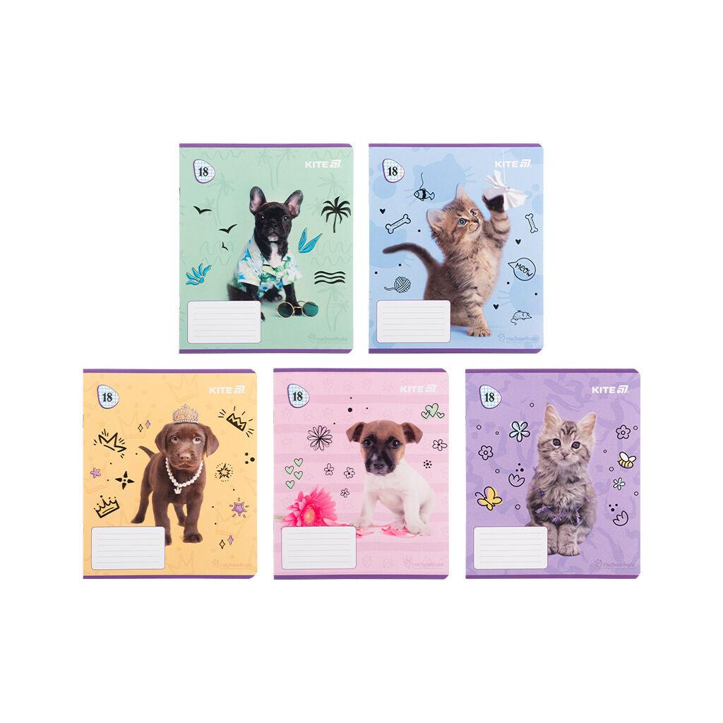 Зошит Kite Rachael Hale, 18 аркушів, клітинка (R25-236), фото 1