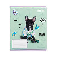 Зошит Kite Rachael Hale, 18 аркушів, клітинка (R25-236), фото 3