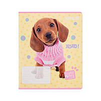 Зошит Kite Studio Pets, 12 аркушів, лінія (SP25-234), фото 3