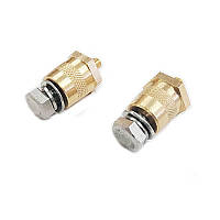 Стрижні штифти клеми для акумулятора різь М8 всередині — М6 зовні (к-т 2 штуки)