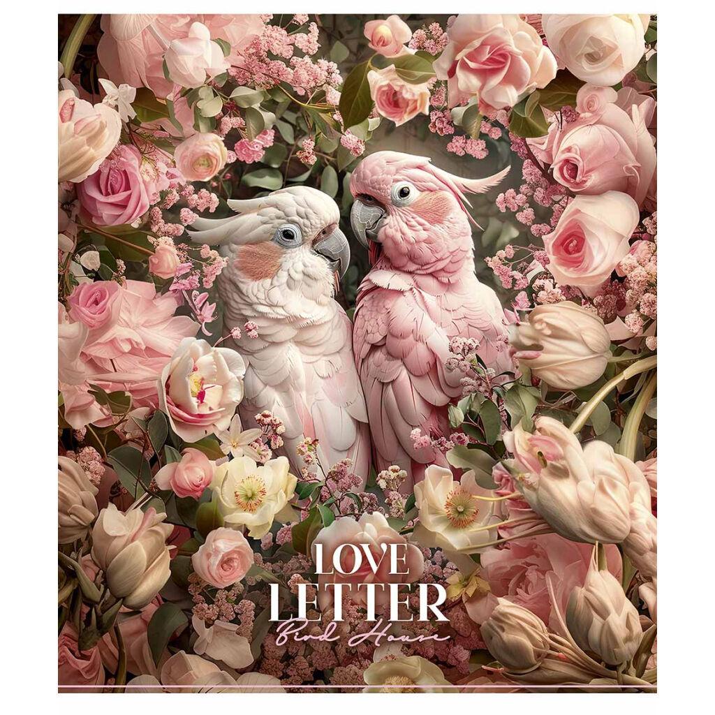 Зошит Школярик Bird house 60 аркушів клітинка (060-3478K), фото 1