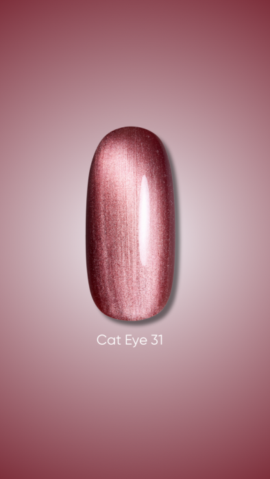 Dark gel polish Cat Eye 31, 10 ml, фото 1