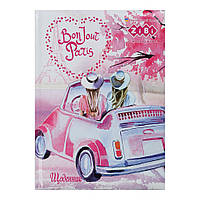 Щоденник шкільний ZiBi Love В5 48 аркушів (ZB.13813)