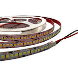 Світлодіодна стрічка Venom SMD 2835 240 мм негерметична Standart White, фото 3