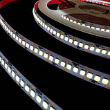 Світлодіодна стрічка Venom SMD 2835 240 мм негерметична Standart White, фото 2