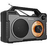 Радіоприймач REAL-EL X-703 Black Акумулятор DS, фото 2