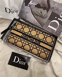 Dior 20х11х2