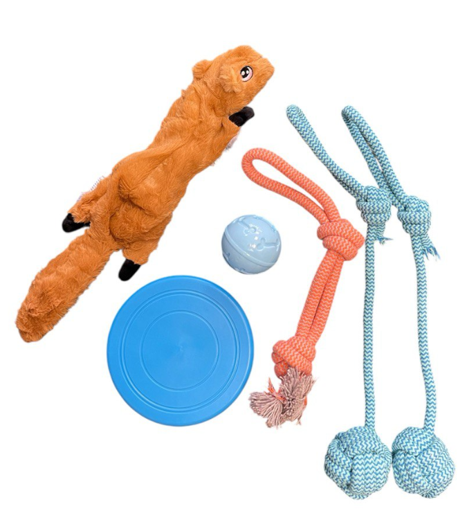 Набір іграшок для середніх та великих собак, подарунковий (6 предметів) подарунковий набір для тварин, фото 1