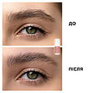 Гель для укладання брів сильної фіксації Elan Brow Lock 10 мл, фото 2