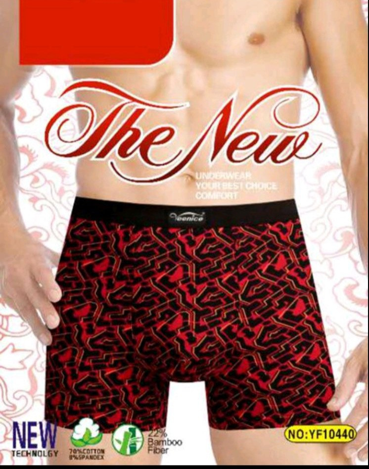 Труси чоловічі "Veenice" (XL-4XL), фото 1